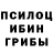 Псилоцибиновые грибы Psilocybine cubensis pupon81