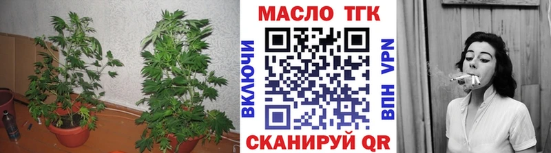 ТГК концентрат маркетплейс формула Оханск blacksprut зеркало