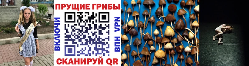 наркошоп  Оханск  Галлюциногенные грибы GOLDEN TEACHER 